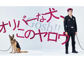 奧莉佛是狗，（天哪?。。┻@家伙