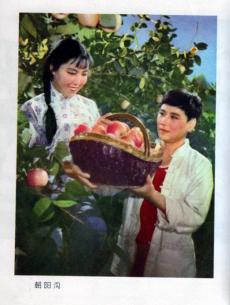 朝陽(yáng)溝（豫?。? referrerpolicy=