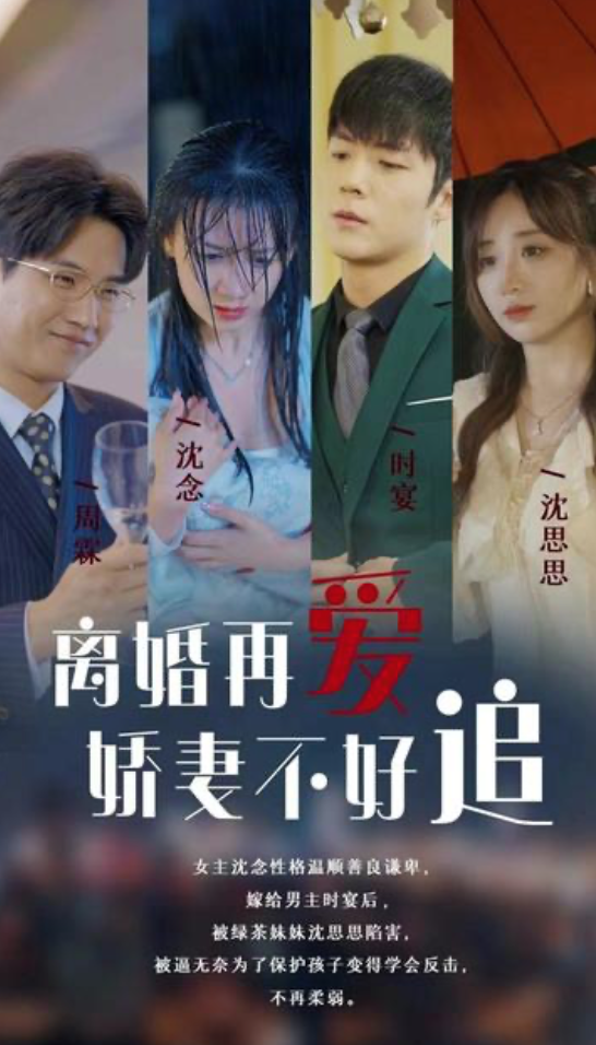 離婚再愛嬌妻不好追