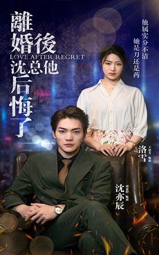 離婚后，沈總他后悔了