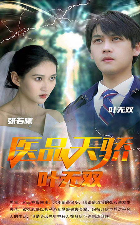 醫(yī)品天驕葉無雙