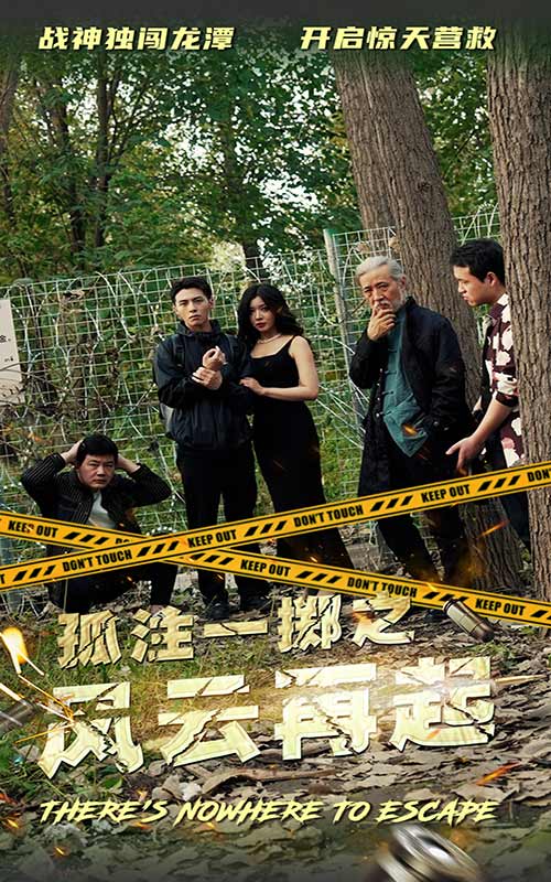 孤注一擲之風(fēng)云再起