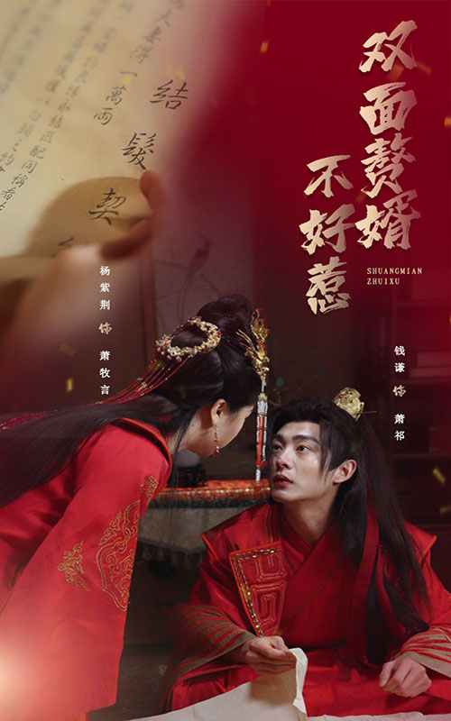 雙面贅婿不好惹