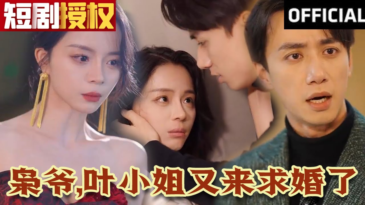 梟爺，葉小姐又來求婚了