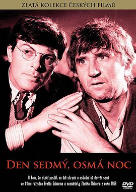 第七日，第八夜