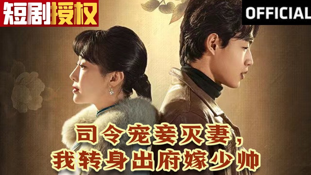 司令寵妾滅妻，我轉(zhuǎn)身出府嫁少帥