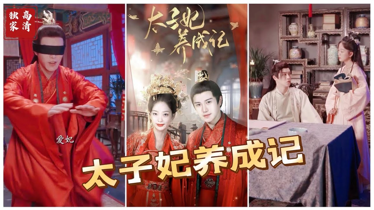 太子妃養(yǎng)成記