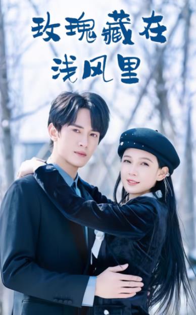 玫瑰藏在淺風(fēng)里