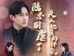 陸總別虐了，夫人她真的懷孕了