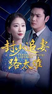 封少追妻路太難