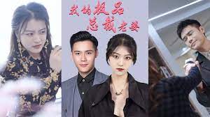 我的極品總裁老婆