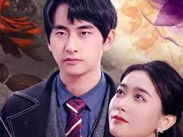 傻婿臨門榜上極品女神