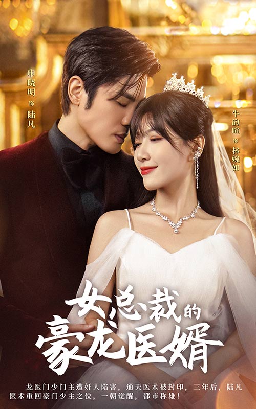 女總裁的豪龍醫(yī)婿