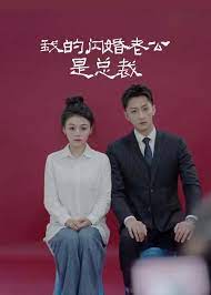 閃婚老公是總裁