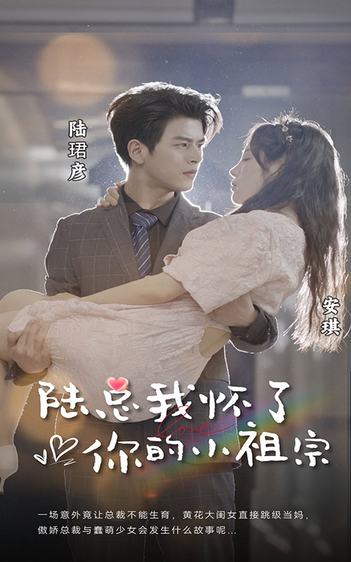 陸總，我懷了你的小祖宗