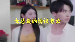 女總裁的協議老公