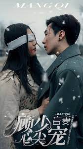 盲妻顧少心尖寵