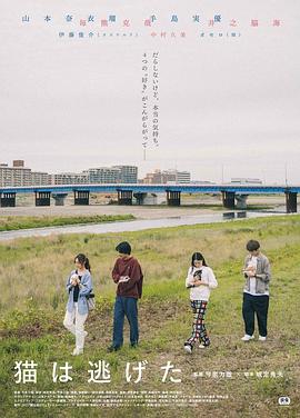 貓貓?zhí)幼吡? referrerpolicy=