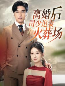 離婚后司少追妻火葬場