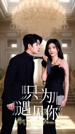 只為遇見你短劇