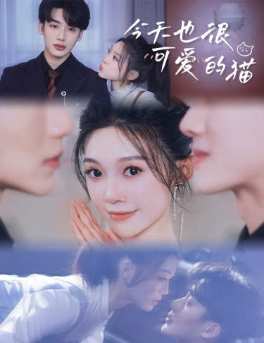 今天也很可愛的貓