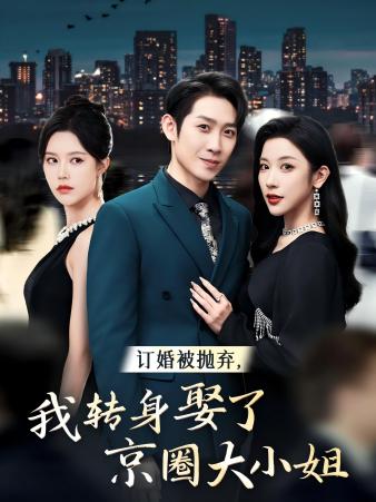 訂婚被拋棄，我轉(zhuǎn)身取了京圈大小姐